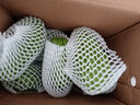 正宗云南现摘现发佛手瓜洋瓜新鲜时令蔬菜生鲜 佛手瓜 4斤 带箱 实拍图