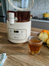 小熊（Bear）养生壶 养生桶花茶桶 水龙头烧水壶煮茶器煮茶壶 玻璃花茶壶电热水壶 3L大容量ZDH-F30F1 实拍图