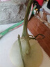 京觅山东玉菇冰淇淋甜瓜 净重4.5-5斤 单果900g起 新鲜水果源头直发 实拍图