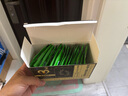 力威豹罗布麻茶保健食品调节血压延缓衰老的保健功能3g*18袋父亲节礼物 实拍图