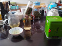 象棋山正宗石崖茶绿茶春茶叶广西昭平石山石岩茶叶250g 实拍图