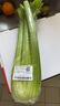 【勤劳致富】西芹约1kg 实拍图
