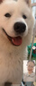 福来恩（FRONTLINE）大型犬驱虫套装去蚤蜱原研药 大型犬滴剂2.68ml*3支+犬心保L号3粒 实拍图
