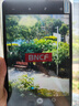 BNCF奔福Bpad Mini 安卓通话小平板高像素骁龙处理器金属机身高清平板手机 8.4英寸4G全网通学习游戏 8G+256G 国内版 实拍图