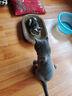 【京东物流】猫抓板磨爪猫窝一体耐磨不掉屑超大号猫玩具猫咪用品 椭圆小号+猫薄荷 实拍图
