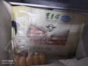 知味观粽子 中华老字号 早餐猪肉咸粽 大肉粽大礼包1000g10只装 实拍图