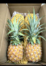 三萌果蔬正宗金钻凤梨 海南当季新鲜爆甜手撕金菠萝香水果整盒节日送礼 9斤精选装净重8斤【约5-9个】 实拍图
