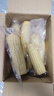京鲜生 东北白糯玉米230g*8棒 新鲜甜糯玉米棒真空包装粘玉米 源头直发 实拍图