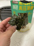 三只松鼠坚果海苔薄脆60g/袋 三种口味南瓜子巴旦木海苔脆儿童营养零食 实拍图