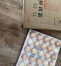 东方甄选鸡蛋可生食鸡蛋单枚约50g新鲜营养早餐溏心蛋生鲜谷物喂养鲜鸡蛋 30枚 1.5kg 谷物鲜鸡蛋 实拍图