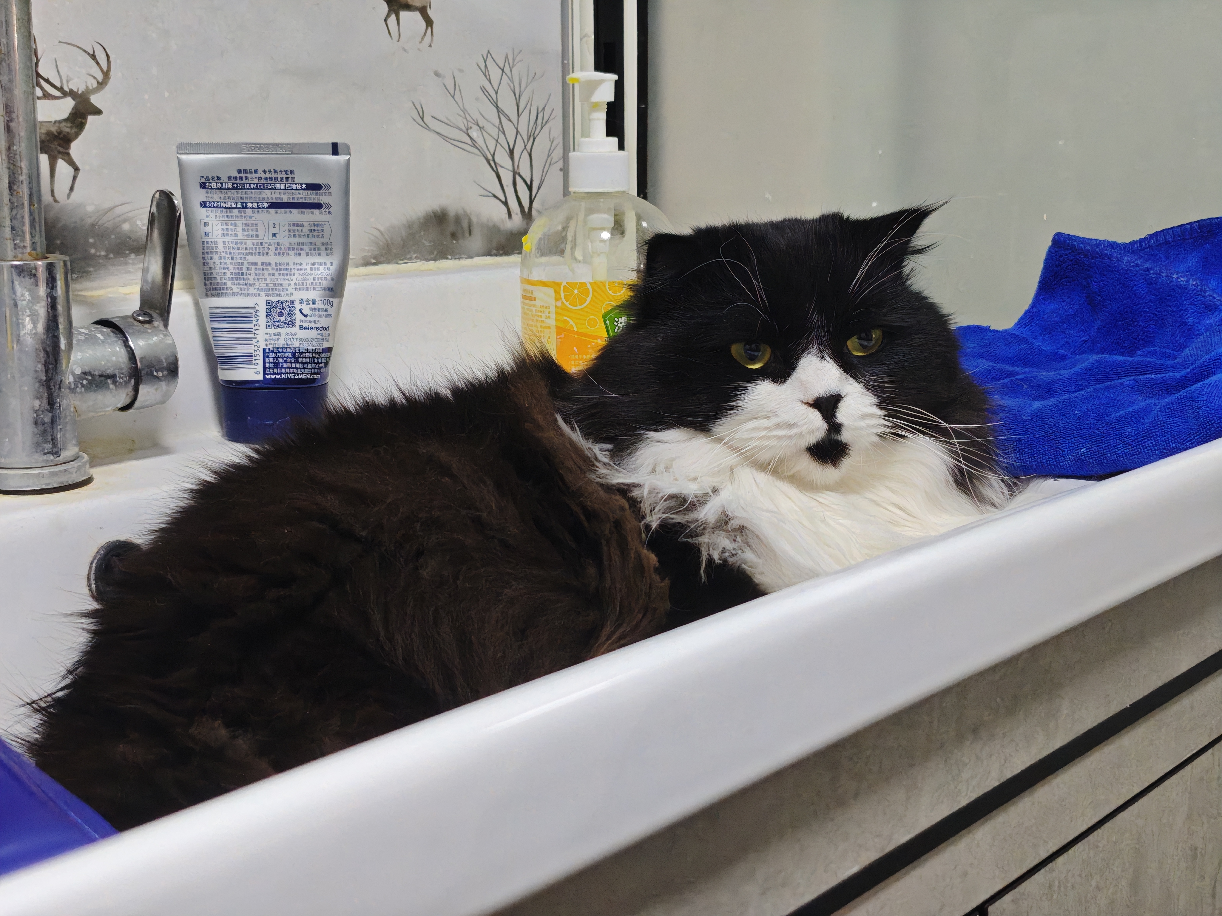 凯锐思混合猫砂 豆腐猫砂猫沙无尘除臭结团不粘底 【98%除臭率】三合一混合砂4斤*5包 实拍图