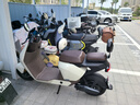 小牛电动【北京专享到店自提】G400T电动车  智能锂电长续航 新国标电动自行车基础款 到店选色 实拍图