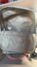 Dickies双肩包DK背包女士迷你小书包电脑包初高中学生可爱休闲背包旅行包 大号冰川灰 实拍图