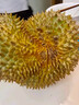 京鲜生 进口金枕头榴莲 净重3-4斤 1个装  鲜果 生鲜 新鲜水果 实拍图