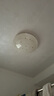 雷士（NVC）led吸顶灯改造灯板灯管灯条替换灯盘光源24瓦白光Ra95显色 实拍图