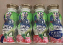 QQ星伊利乳酸菌饮品180ml*16瓶草莓猕猴桃味 礼盒装 实拍图