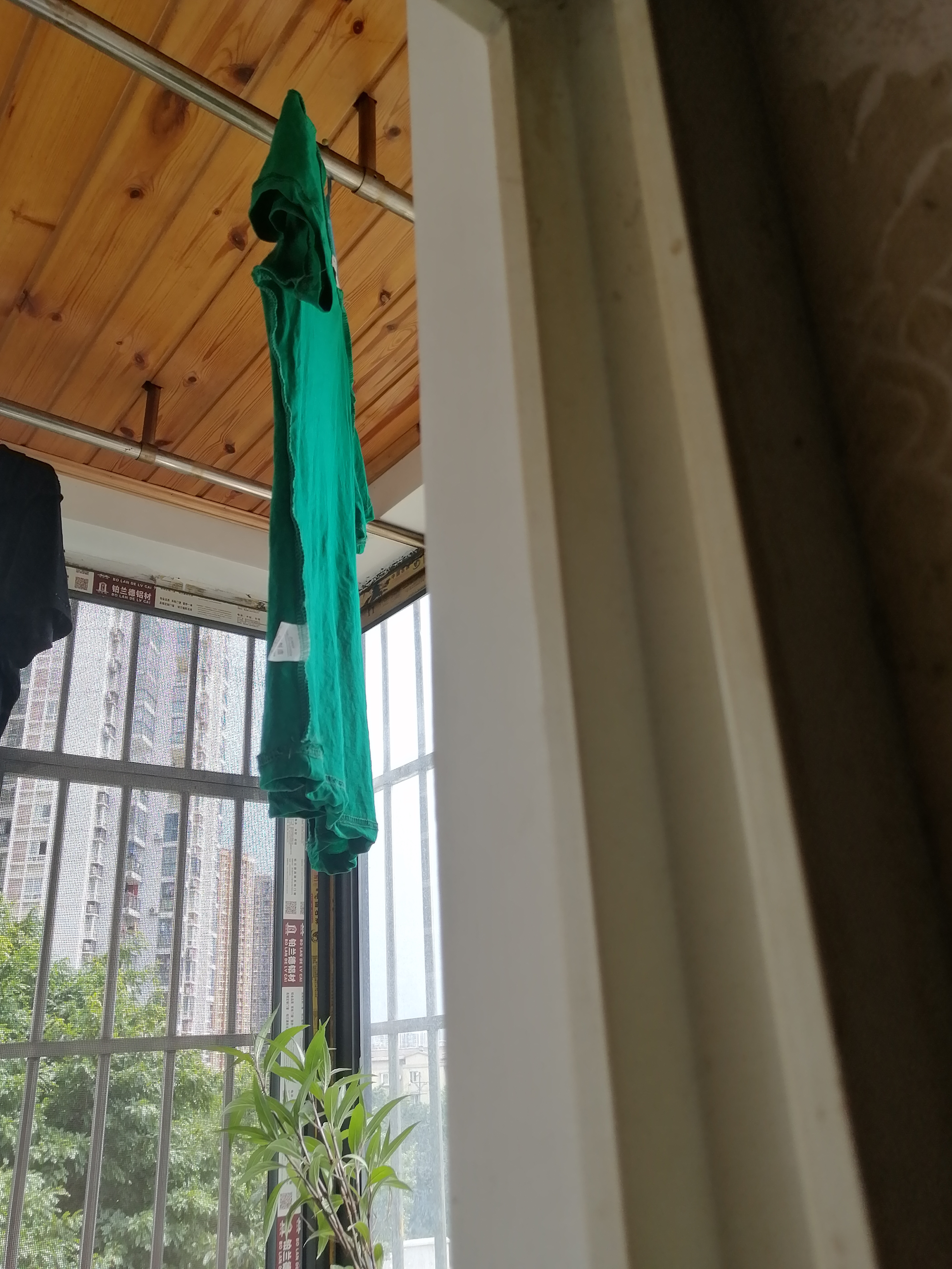 夏季女装短袖t恤女纯棉韩版大码休闲时尚印花宽松百搭上衣体恤衫 深绿椰树 M码【建议80-100斤】 实拍图