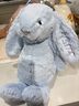 Jellycat害羞蓝色邦尼兔 柔软毛绒玩具公仔玩偶送礼娃娃生日礼物 害羞蓝色邦尼兔 Medium 实拍图