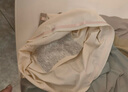 俞兆林女士内裤女纯棉抑菌底档纯色中腰三角裤女包臀无痕透气少女 XL 实拍图