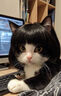 皇家皇家成猫猫粮 肠道舒适 EP42通用粮12月以上10KG 实拍图