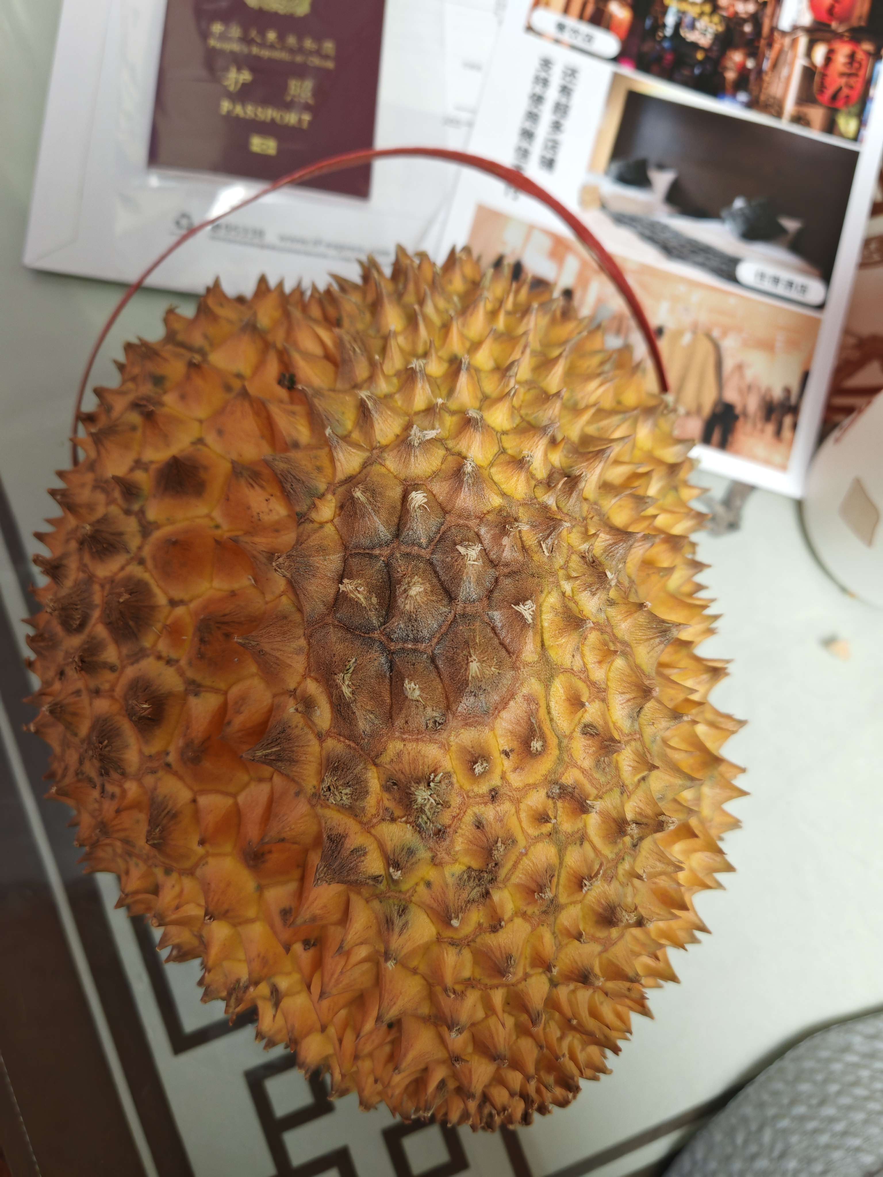 榴小橔泰国进口金枕头榴莲新鲜水果软糯香甜巴掌鲜果整个带壳榴莲 金枕榴莲6-7斤单果装 实拍图