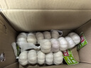 佳农宝菜山东金乡大蒜 0.5斤*3条装 净重1.5斤紫皮蒜头源头直发 实拍图