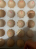 黄天鹅可生食鸡蛋不含沙门氏菌 20枚2.12斤/盒源头直发 精美礼盒装 实拍图