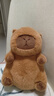 熊猫熊卡皮巴拉玩偶公仔毛绒玩具布娃娃水豚哪吒土拨鼠生日毕业礼物女孩 实拍图