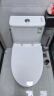 九牧（JOMOO）11173-2-1/31KB-3大力神普通马桶家用虹吸抗菌节水坐便器305坑距 实拍图