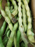 农家四季豆新鲜现摘云南长扁豆角农家应当季蔬菜芸豆现摘菜豆 新鲜四季豆3斤带箱 实拍图