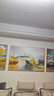 Sixpoetry 客厅装饰画现代简约沙发背景墙壁画轻奢三联晶瓷画大气高档挂画 福禄双收（铝合金外框） 镶钻画左右60*80+中间120*80亮面 实拍图
