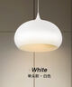 松下（Panasonic）LED吊灯餐厅灯具吸顶餐吊灯饰 现代简约创意吧台灯另购E27光源 实拍图