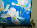 海信电视小墨E5Q Pro 55英寸 超画质U+Mini LED 信芯芯片 柔光防眩屏 288Hz高刷 E5NPRO升级 国家补贴 实拍图