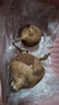 【东东买菜】新鲜现挖凉薯生吃脆甜水果红薯白地瓜直播间生鲜超市 现挖凉薯 2斤中大果含箱 实拍图