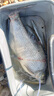 达亿瓦（DAIWA）CROSSFIRE LT 纺车轮 远投轮路亚轮 金属线杯钓鱼轮 渔轮 【23新款】3000-C 实拍图