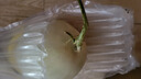 陇百味【产地直发】山东玉菇甜瓜 冰淇淋香瓜  新鲜应季当季时令水果 整箱5斤【单果800g+】净4.5-5斤 晒单实拍图
