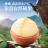 三只松鼠大颗粒夏威夷果500g罐装 坚果炒货干果休闲零食送礼一斤装 实拍图