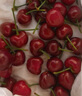 京觅 大连美早樱桃车厘子 2J级净重1.8斤单果10-12g 水果源头直发 实拍图
