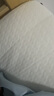 红豆乳胶床垫加厚记忆棉榻榻米抗压单双人家用宿舍床褥子床垫子 R白灰（厚度约10cm） 90cm*190cm 实拍图