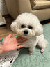 网易严选宠物湿巾猫犬专用擦泪痕湿巾全身清洁保湿除臭抑菌湿纸巾 80抽 实拍图