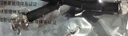 博扬（BOYANG） BNC型同轴射频连接线 BNC公-BNC公电缆组件 SYV50-5馈线 BNC-BNC跳线(0-3G) 1米 BY-BNC/BNC-1M 实拍图