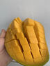 粤迎金煌芒芒果当季青皮黄皮大芒果新鲜水果甜心芒果广西整箱盒送礼 5斤精选果【香甜爆汁】净4.5斤 实拍图