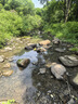 Naturehike挪客云界自立速开钛黑胶天幕帐篷户外露营野餐防雨防晒穹顶凉亭 实拍图