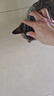 奥丁（ODIN）猫粮 鲜肉美毛 幼猫成猫美短英短蓝猫暹罗猫 鱼肉味天然猫粮2kg 实拍图