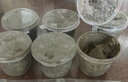 泽驭名宠迷你蟹辣椒蟹宠物鱼缸观赏蟹淡水活体草缸可深水养殖小螃蟹除藻蟹 白爪3只+红爪3只 包活4只 实拍图