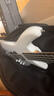 IBANEZ依班娜电贝斯GSR200-PW 被动拾音 初学者入门男女生四弦贝司 实拍图