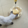 HELLOJOY猫玩具猫咪自嗨解闷神器转盘逗猫棒猫猫冻干漏食球小猫用品不倒翁 实拍图