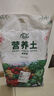 寿禾 营养土果蔬育苗泥炭通用型养花种菜多肉盆栽种植土壤 营养土3L 实拍图