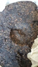 大益TAETEA茶叶普洱茶熟茶玉华浓饼茶357g/饼 自饮口粮茶中华老字号 实拍图