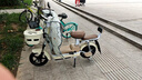 飞鸽 FG FLYING PIGEON电动车锂电成人女生女士小型电动自行车轻便电单车2025新款电瓶车两轮车 糯米白【新升级款/可上牌照/智能快充】 【铅酸】24A石墨烯/全国联保/助力续航110km 实拍图